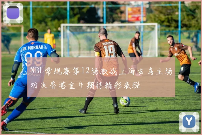 NBL常规赛第12场激战上海玄鸟主场对决香港金牛期待精彩表现